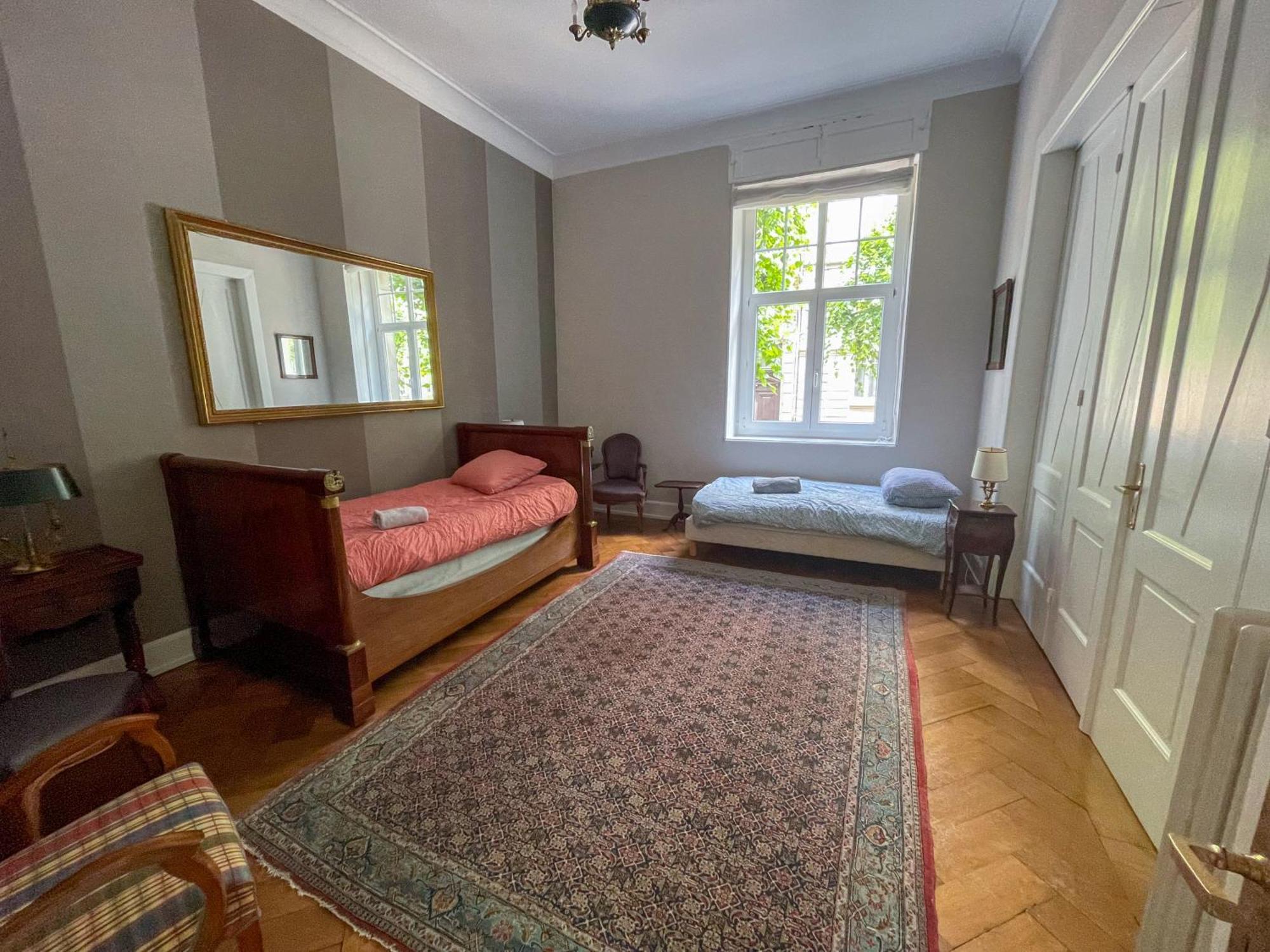 Appartement De Standing 200M² ストラスブール エクステリア 写真