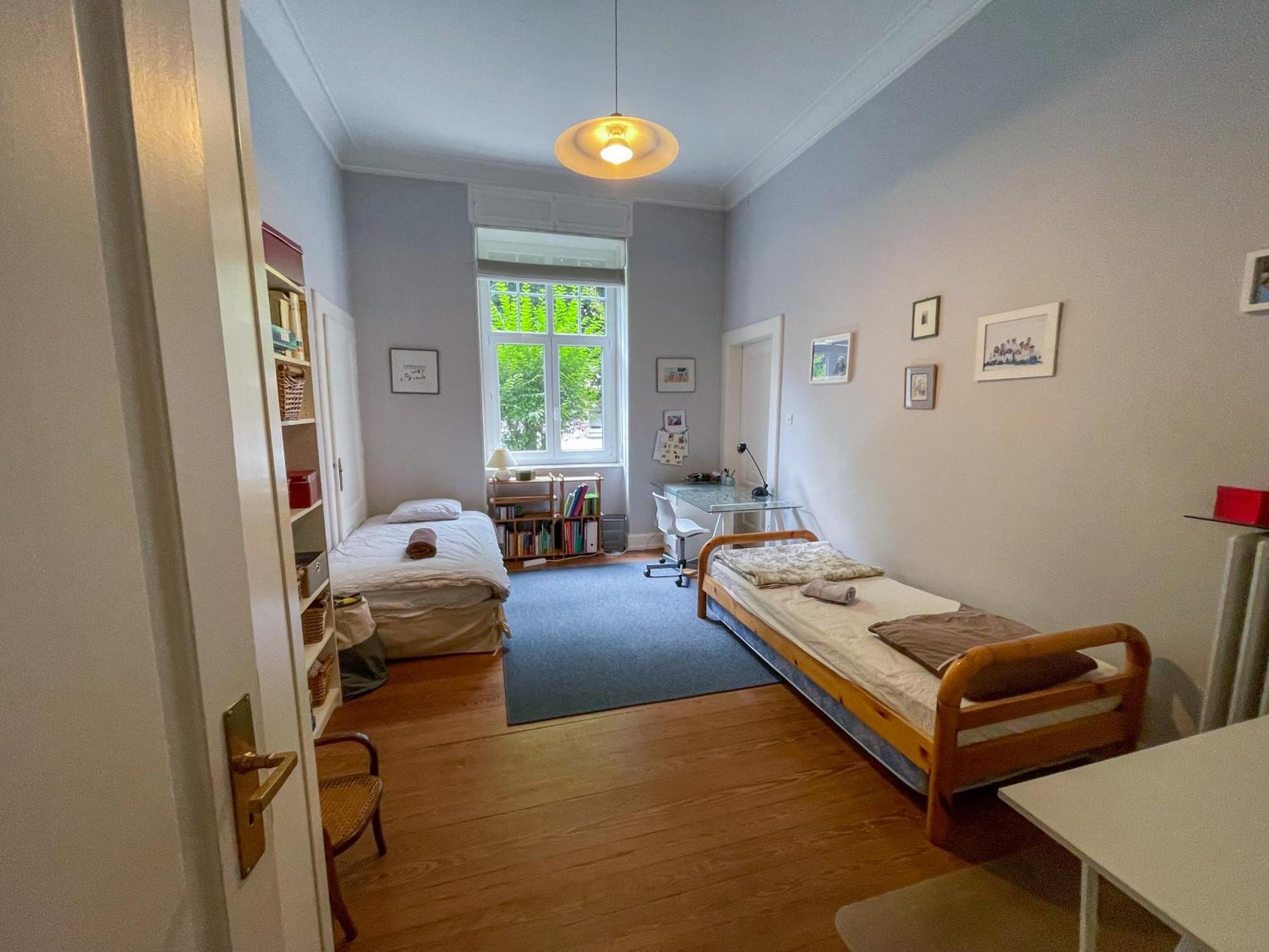 Appartement De Standing 200M² ストラスブール エクステリア 写真